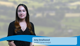 Potatoes - 27/06/2019 - AHDB’s First Estimate of GB Potato Plantings for 2019